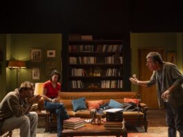 Άγριοι – Πρόταση παράστασης